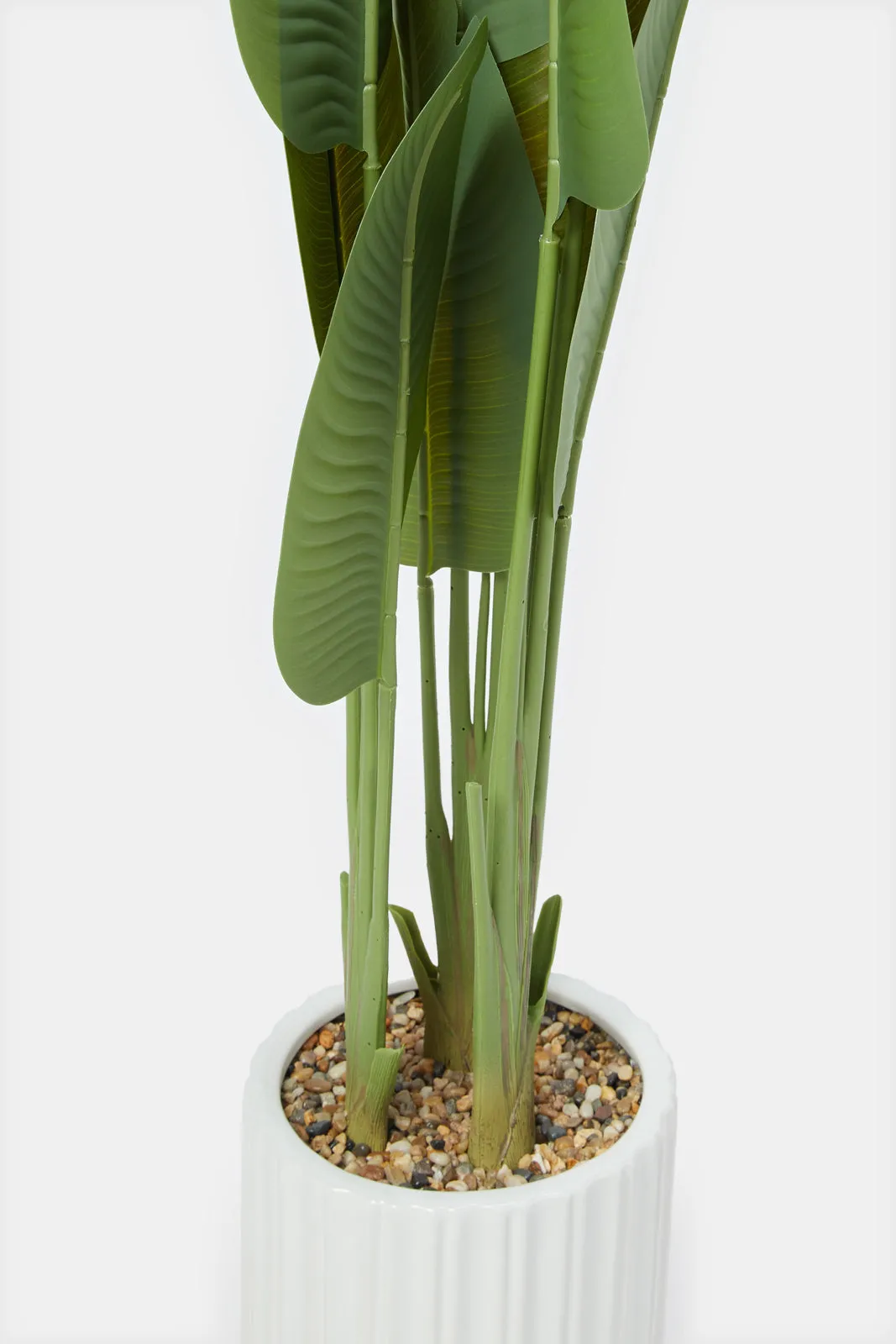 Artificial Banana Plant In Ceramic Pot