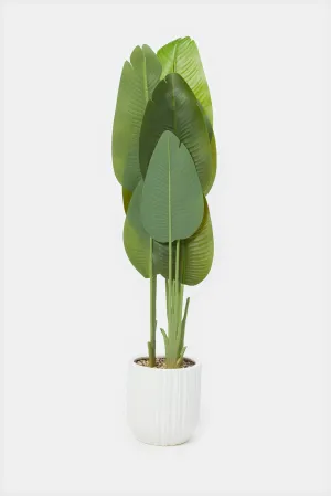 Artificial Banana Plant In Ceramic Pot