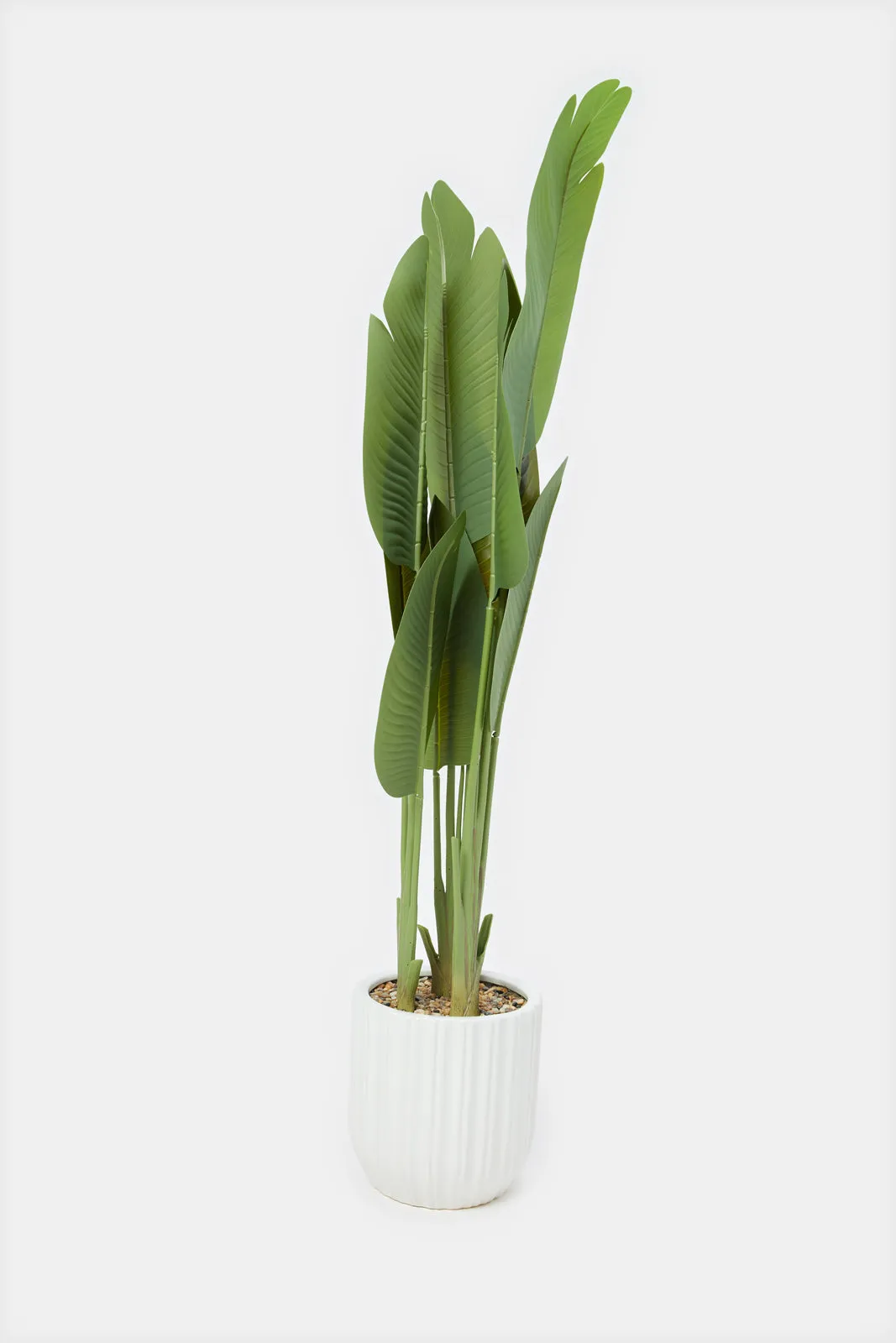 Artificial Banana Plant In Ceramic Pot
