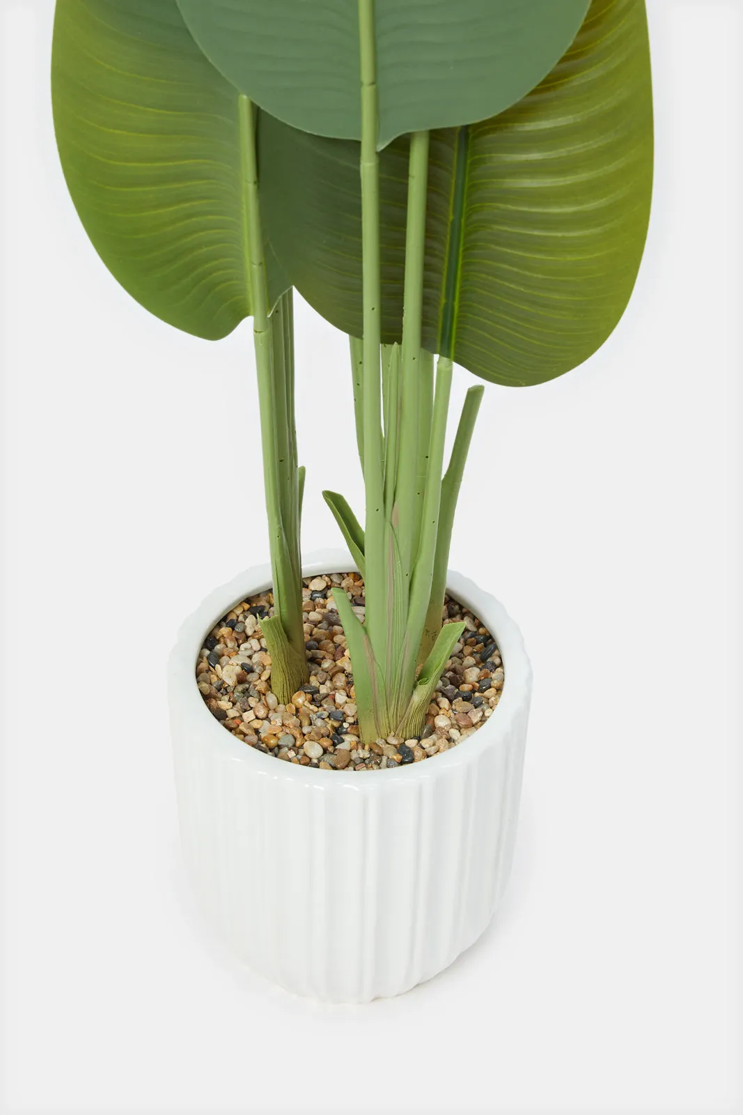 Artificial Banana Plant In Ceramic Pot