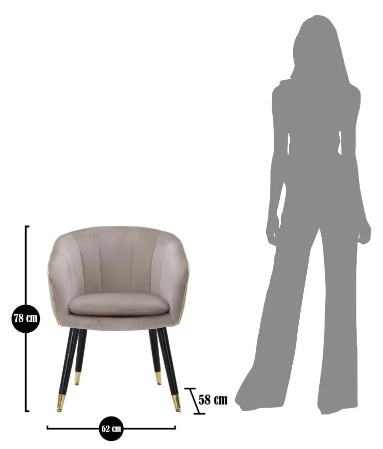 Grey Padded chair with Black Wooden Legs with Golden Details