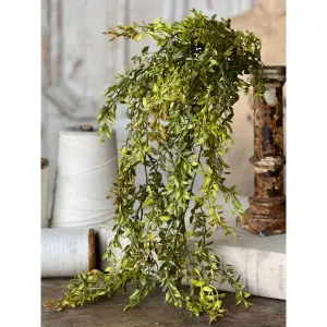 Lemon Beauty Hanging Greens