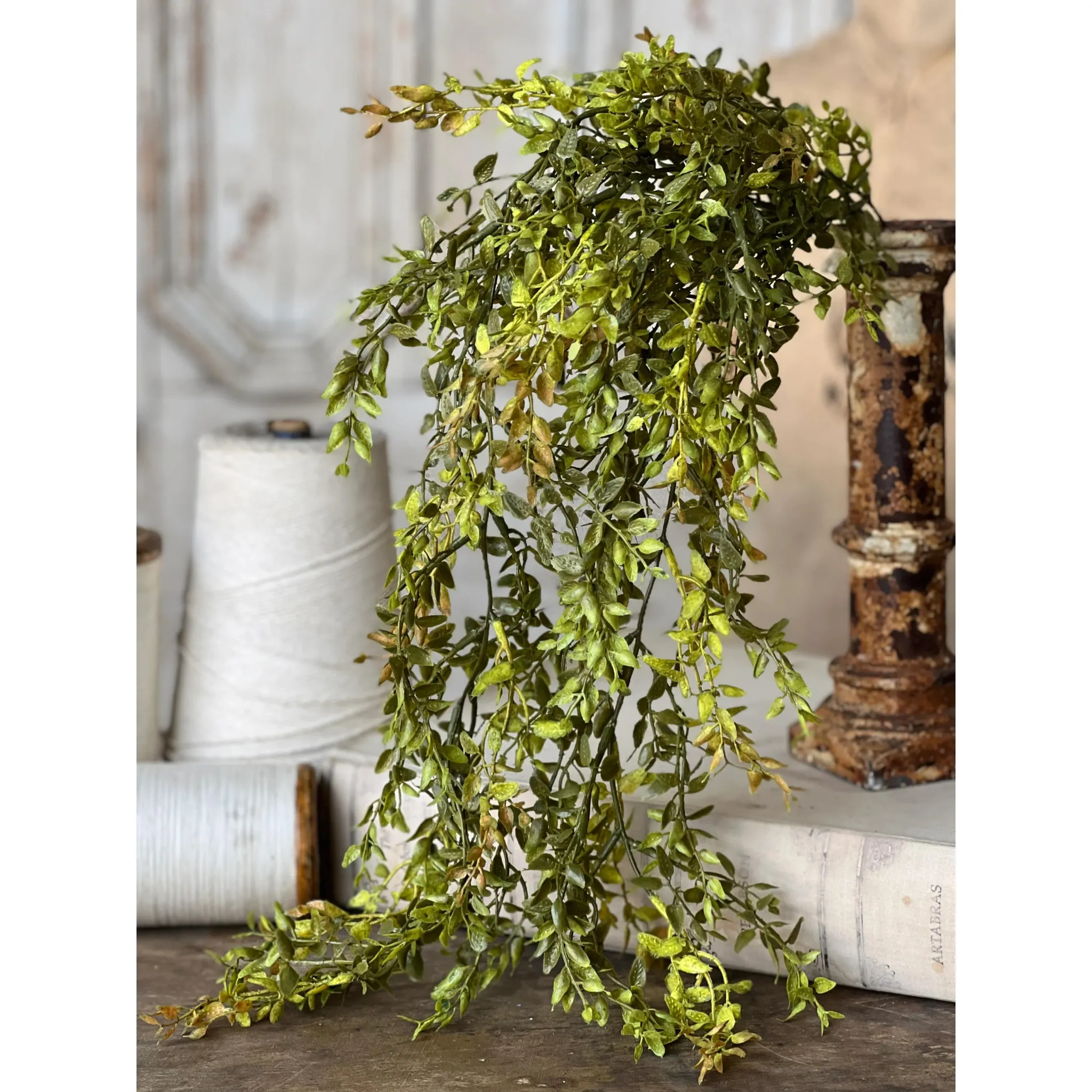 Lemon Beauty Hanging Greens