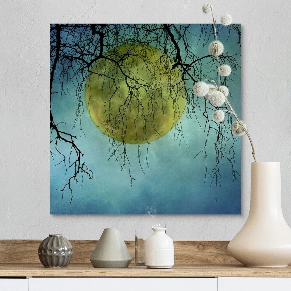 "A huge full moon behind bare winter branches." Canvas Wall Art