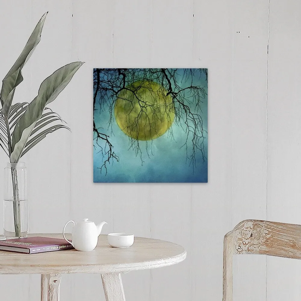 "A huge full moon behind bare winter branches." Canvas Wall Art