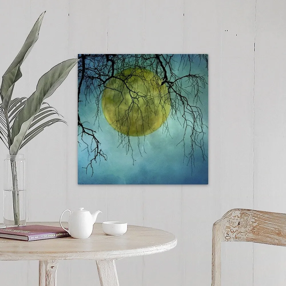 "A huge full moon behind bare winter branches." Canvas Wall Art