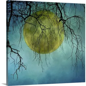 "A huge full moon behind bare winter branches." Canvas Wall Art